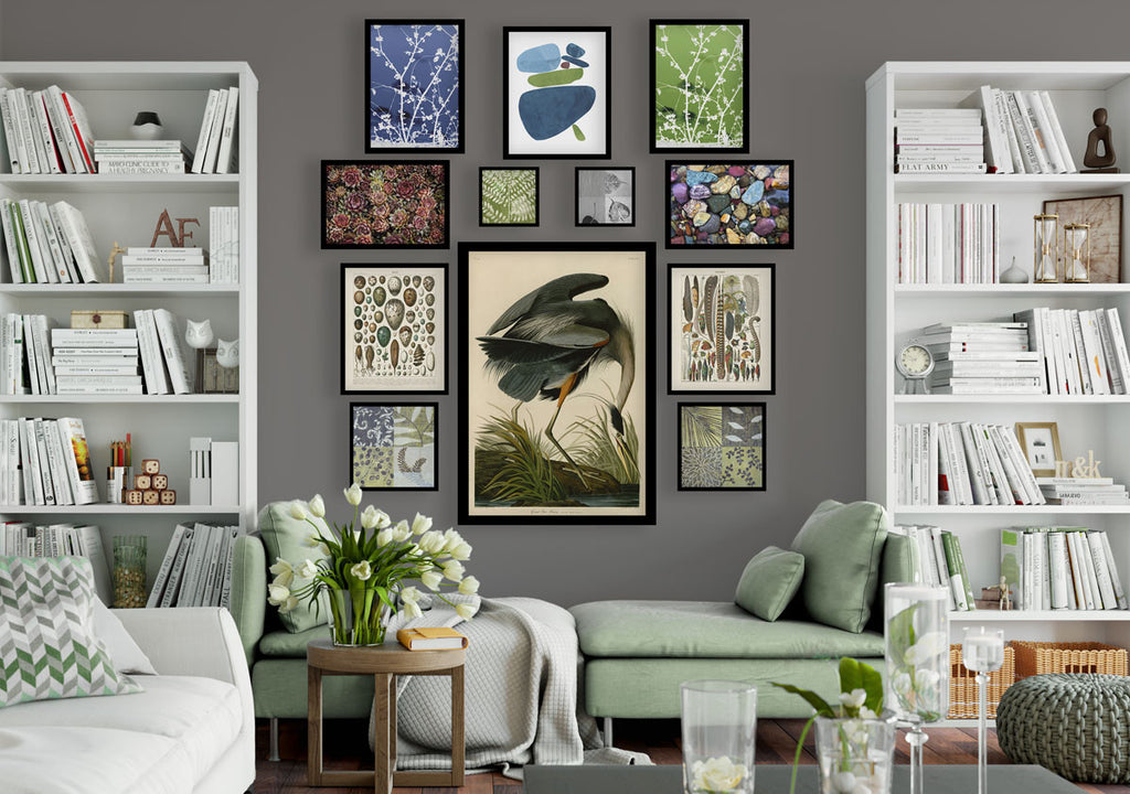 Audubon Bird Prints - The Trend That Won't Quit