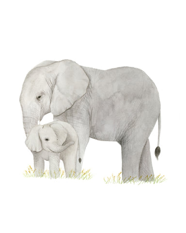 Elephant and Baby