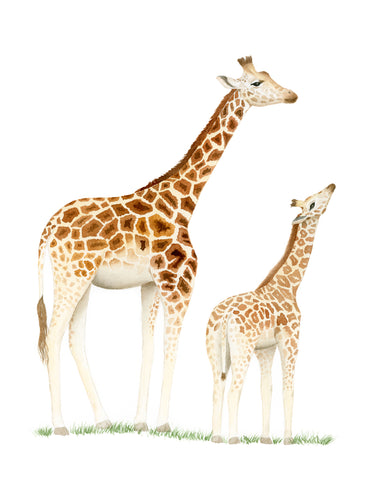 Giraffe and Baby