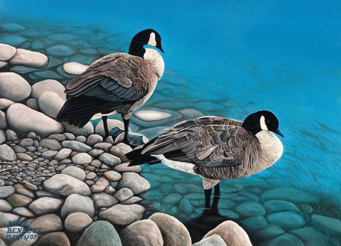Canadian Geese at Jackson, WY