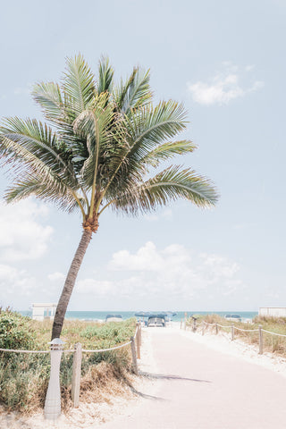 Way to Paradise