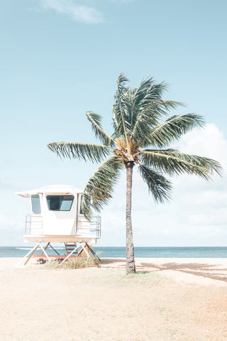 Palm and Lifeguard Tower on the Hawaiian Beach