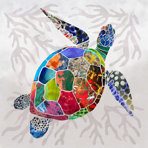Turtle