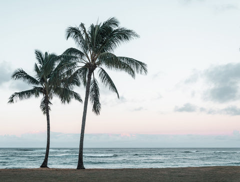 Beach Sunset