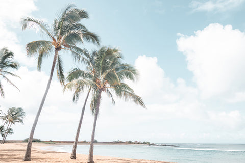 Hawaiian Beach