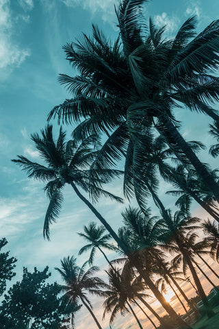 Miami Beach Sunrise 2