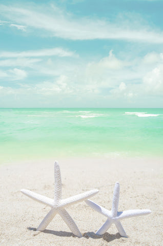 Two Starfishes on the Beach