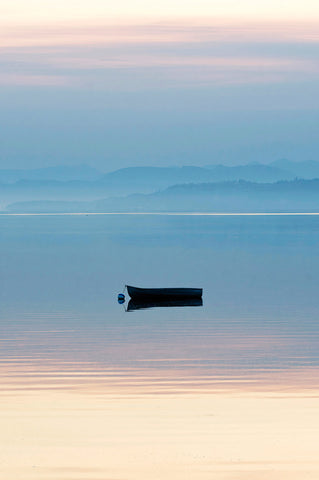 Morning Mirror