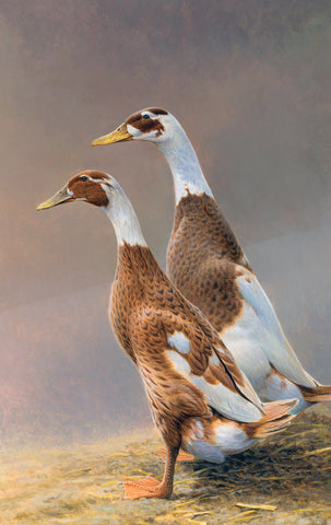 Ducks Merge