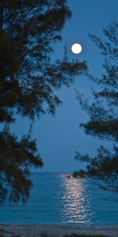 Moon Beams