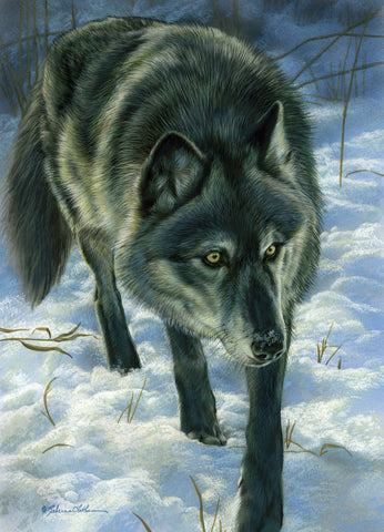 Winter Trail - Wolf