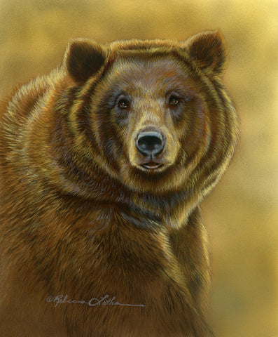 Grizzly Portrait