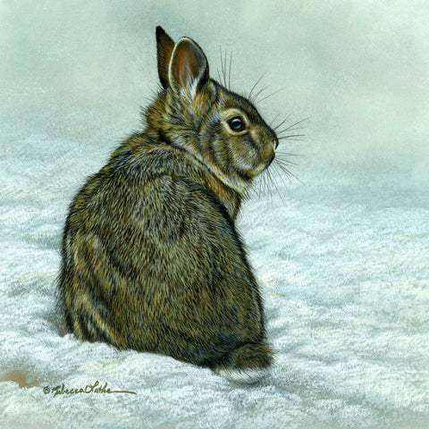 Winter Moment - Rabbit