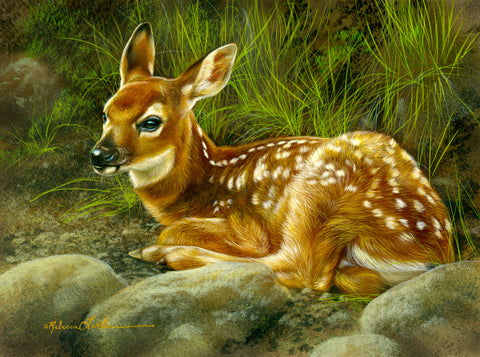 Forest Shade - Fawn