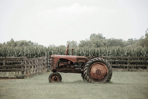 Old Tractor on Family Farm