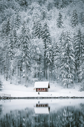 Frozen Cabin on Lake