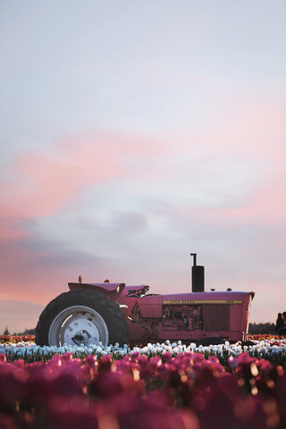 Tractor in Flower Field