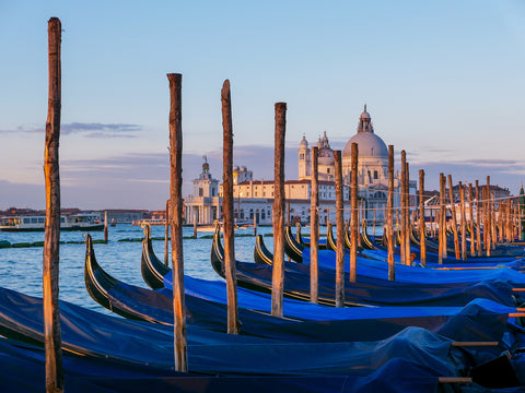 Morning Light on Gondolas and the Basilica di Santa Maria del Salute, Venice, Italy
