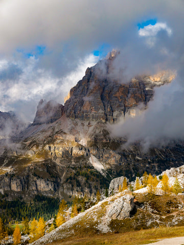 Tofana di Rozes and Larch Trees, Dolomites, Italy