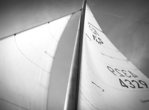 Mainsail and Jib, Potomac River