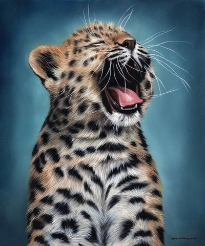 Leopard Cub Yawn