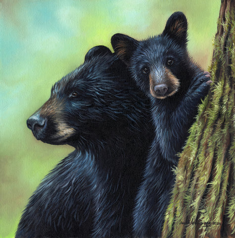 Black Bears