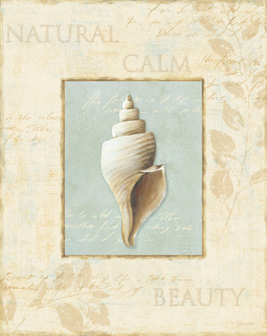 Soothing Words Shells I -  Lisa Audit - McGaw Graphics