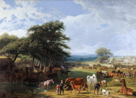 Lord Rivers's Stud Farm, Stratfield Saye, 1807 -  Jacque-Laurant Agasse - McGaw Graphics