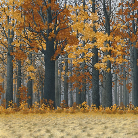 Autumn Wood -  Timothy Arzt - McGaw Graphics