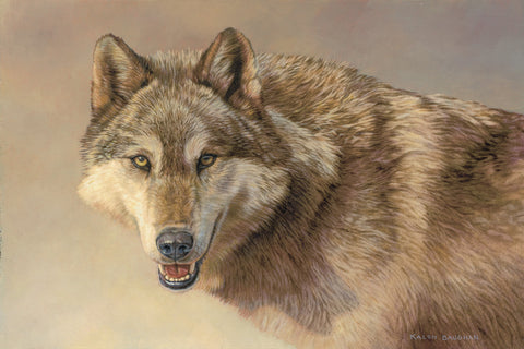 Wolf Portrait -  Kalon Baughan - McGaw Graphics