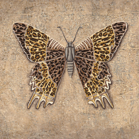Leopard Butterfly -  Jennette Brice - McGaw Graphics