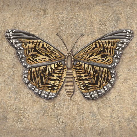 Tiger Butterfly -  Jennette Brice - McGaw Graphics