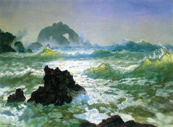 アイルランド 聖なる泉 写真集「Fish Stone Water」ケルト Seal Rock | McGaw Graphics