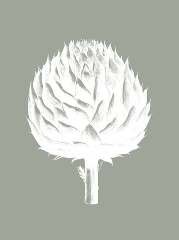 Artichoke (Sage & Ivory) -  Botanical Series - McGaw Graphics
