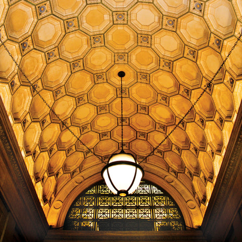 Ceiling Detail (color) -  Erin Clark - McGaw Graphics