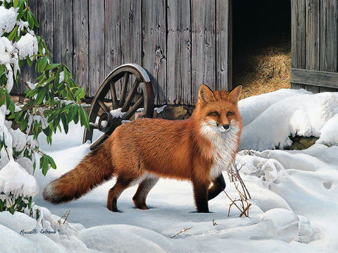 Fox and Barn -  Russell Cobane - McGaw Graphics