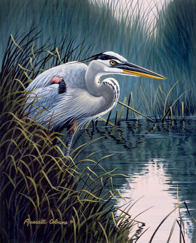 By the Marsh - Blue Heron -  Russell Cobane - McGaw Graphics