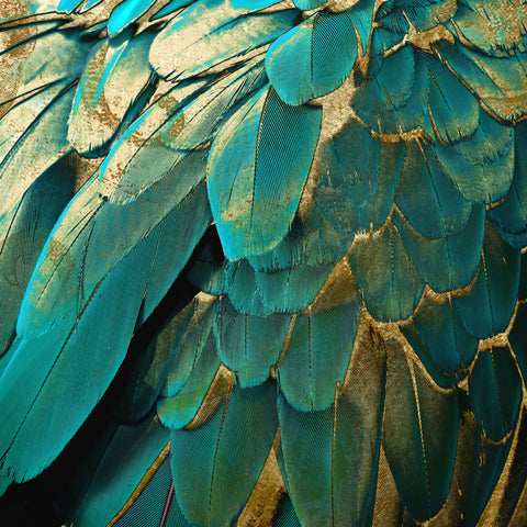 Feather Glitter Teal and Gold -  Color Bakery - McGaw Graphics