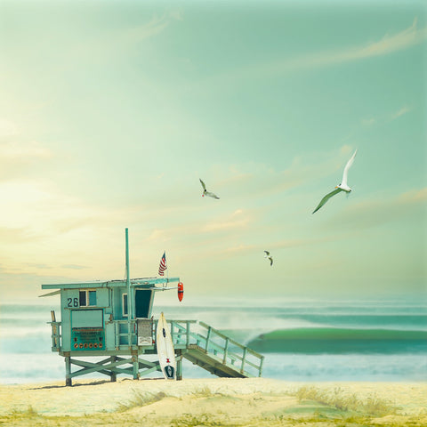 Beach 1 -  Carlos Casamayor - McGaw Graphics