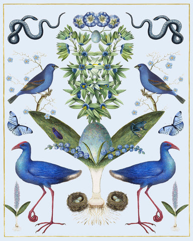 Abundance - Bright Blue on Blue -  Susan Clickner - McGaw Graphics