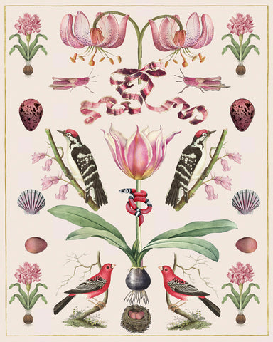 Abundance - Pinks on Shell Pink -  Susan Clickner - McGaw Graphics