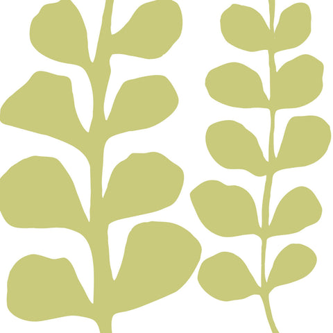 Green Fern on White -  Denise Duplock - McGaw Graphics