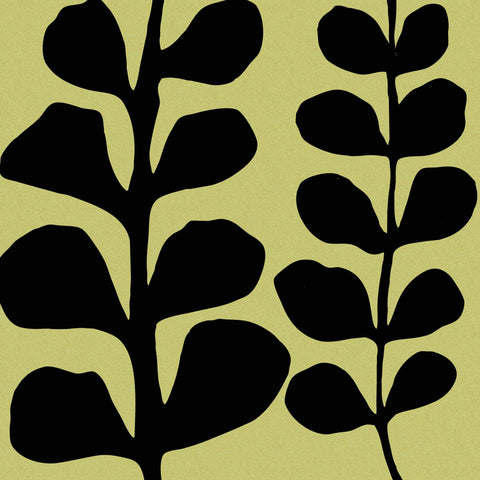 Black Fern on Green -  Denise Duplock - McGaw Graphics