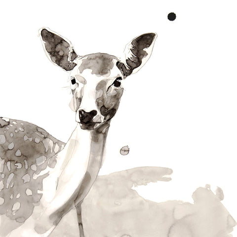 Deer -  Philippe Debongnie - McGaw Graphics