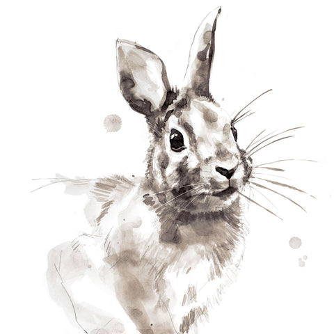 Rabbit -  Philippe Debongnie - McGaw Graphics