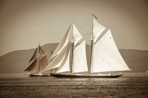 The Great Schooner Race: Columbia and Angelique, Penobscot Bay, Maine -  Jim Dugan - McGaw Graphics