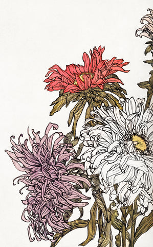 Chrysanthemums -  Julie de Graag - McGaw Graphics