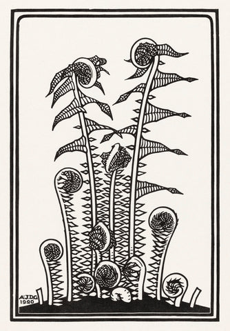 Ferns, 1920 -  Julie de Graag - McGaw Graphics