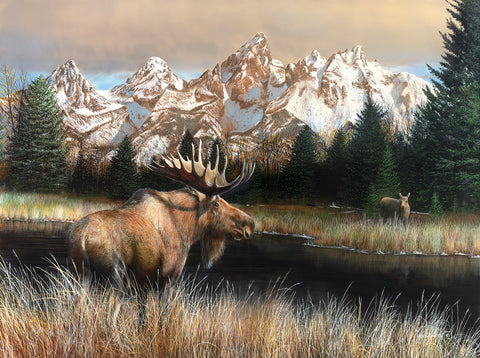 Teton Majesty -  Kevin Daniel - McGaw Graphics