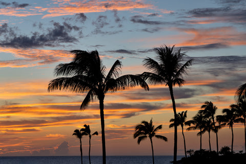 Sunset Clouds and Palm Trees, Hawaii, The Big Island -  Dennis Frates - McGaw Graphics